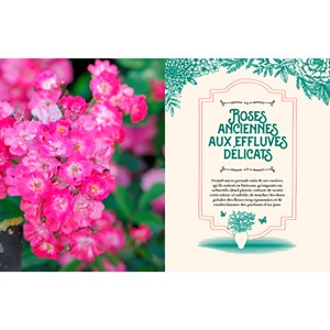 Le charme des jardins de grand-mère