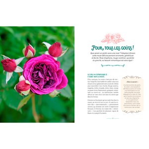 Le charme des jardins de grand-mère