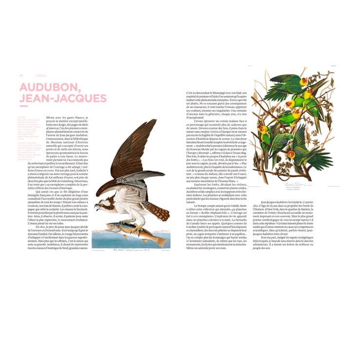 Dictionnaire amoureux illustré des oiseaux (Éditions Gründ) - Image 2