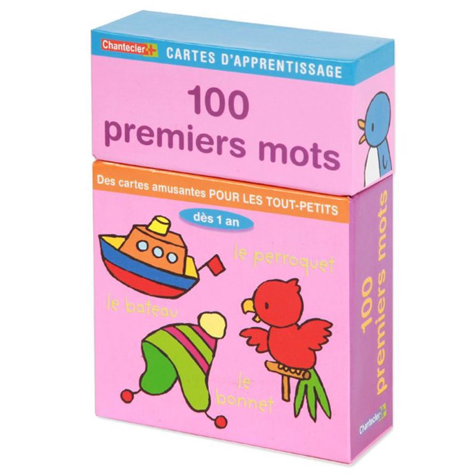 Cartes de jeux et d'apprentissage : mes 100 premiers mots - Livres pour  enfants dès 3 ans