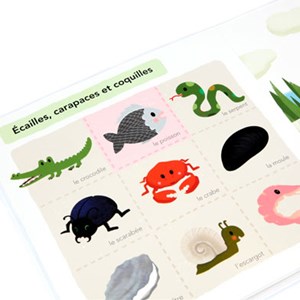 Mon grand imagier à toucher