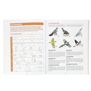 Le Manuel du jeune aventurier