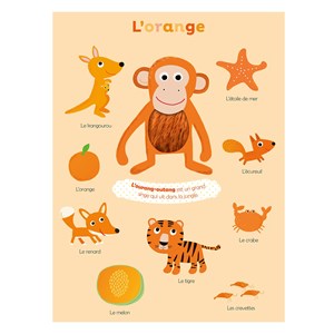 Mes premières couleurs à toucher