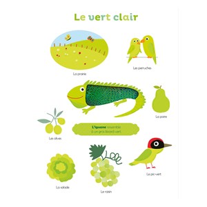 Mes premières couleurs à toucher