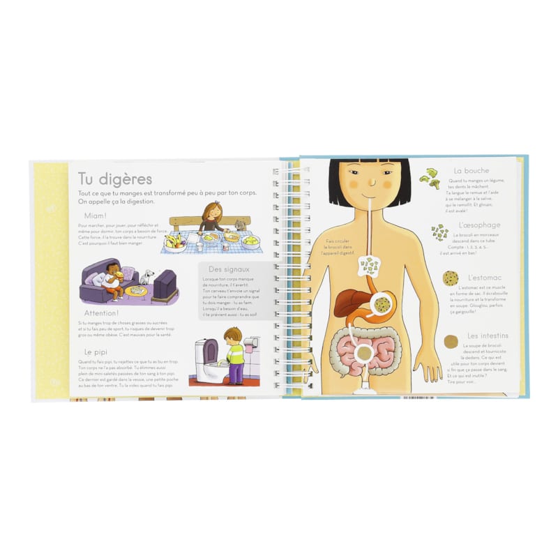Le grand livre animé du corps humain (Éditions Milan Jeunesse) - Image 3