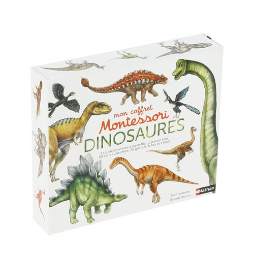 Coffret Montessori Dinosaures