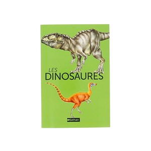 Coffret Montessori Dinosaures