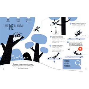 Enigmes au coeur de la science