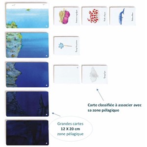 Mon coffret Montessori des océans
