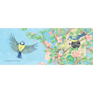 Chants d'oiseaux du jardin