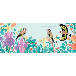 Chants d'oiseaux du jardin