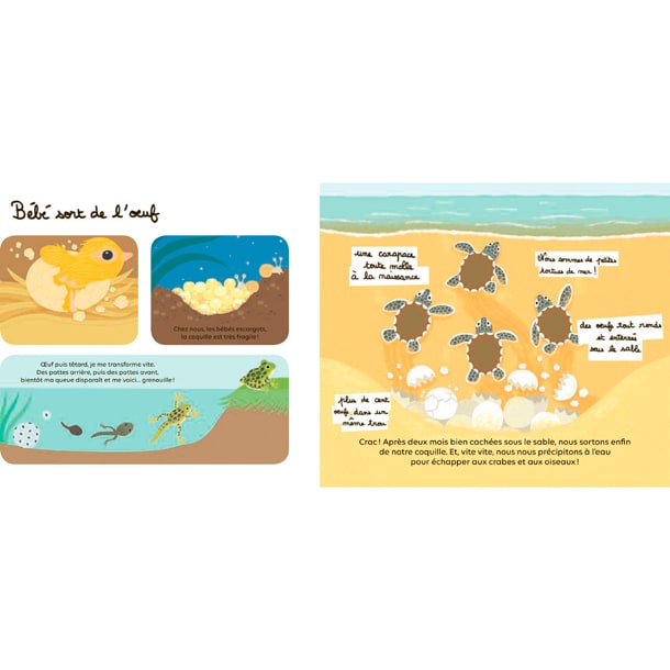 Livres pour enfants: Compter sur les doigts en s'amusant: Animaux pour  enfant,Livres animaux pour