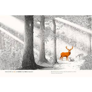 Cherche et trouve dans la forêt