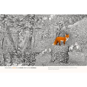 Cherche et trouve dans la forêt