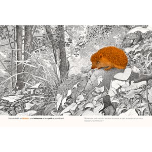 Cherche et trouve dans la forêt