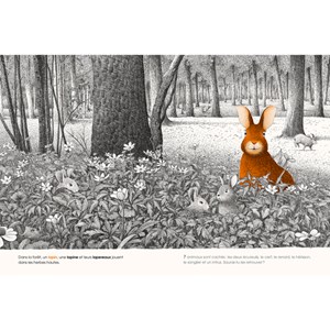 Cherche et trouve dans la forêt