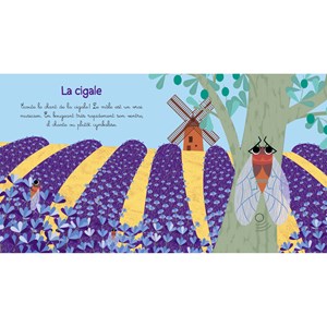 Mes premiers bruits de petites bêtes