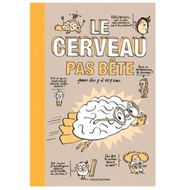 Le cerveau pas bête