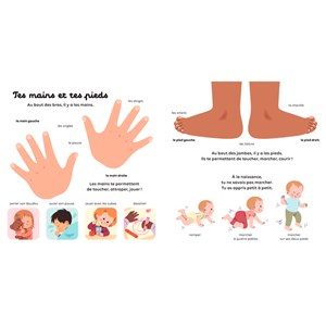 Mon imagier du corps humain