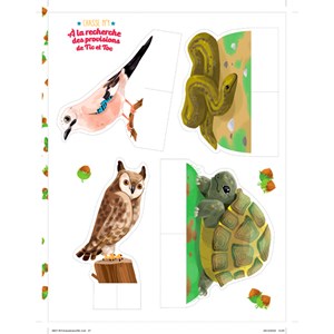 Mes chasses au trésor