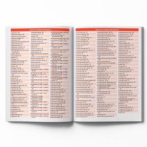 Mes 300 modèles manga à dessiner