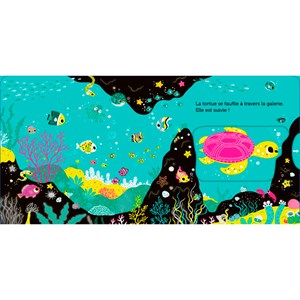 Promenade sous l'océan