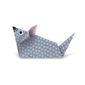 Mes premières créations origamis