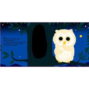 Au dodo ! Bébé hibou n'a pas sommeil