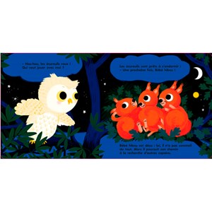 Au dodo ! Bébé hibou n'a pas sommeil