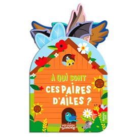 A qui sont ces paires d'ailes ?