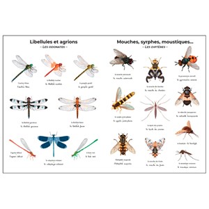 Imagier géant du Père Castor