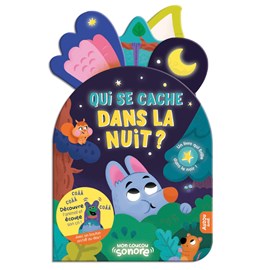 Qui se cache dans la nuit ?