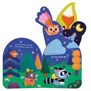 Qui se cache dans la nuit ?