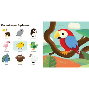 Mon grand imagier à toucher