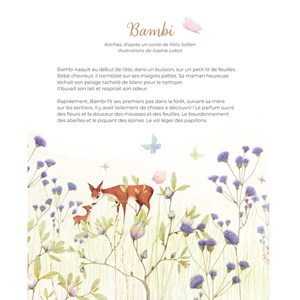 Père Castor Les grands contes