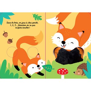 Mon petit renard malicieux