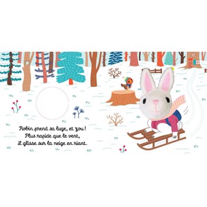 Robin le lapin des neiges