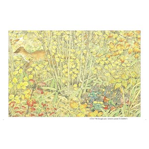 Les 4 saisons de la famille Souris