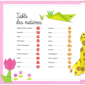 Coffret Mes premières créations origamis En exclusivité