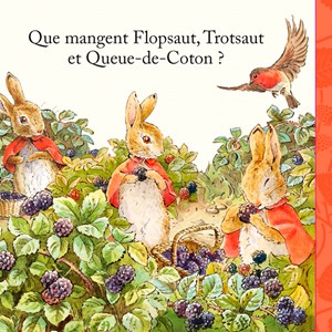 Le monde de Pierre Lapin Au jardin