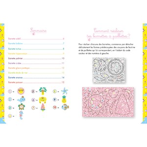 Coffret barrettes à paillettes