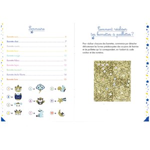 Coffret Barrettes à paillettes 