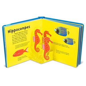 Livre pop up Océan