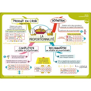 Cartes mentales Réussir mon année de 6e