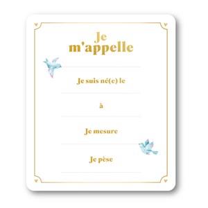 L'album de ma première année