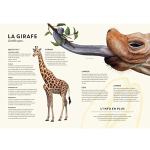 ANIMO RAMA Incroyable Savane