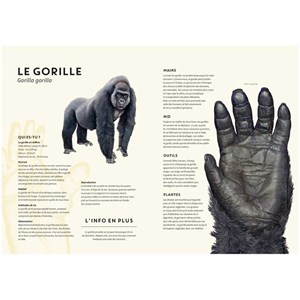 ANIMO RAMA Incroyable Savane