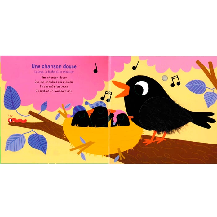 Mes comptines câlin livre sonore et tactile (Nature & Découvertes) - Image 2