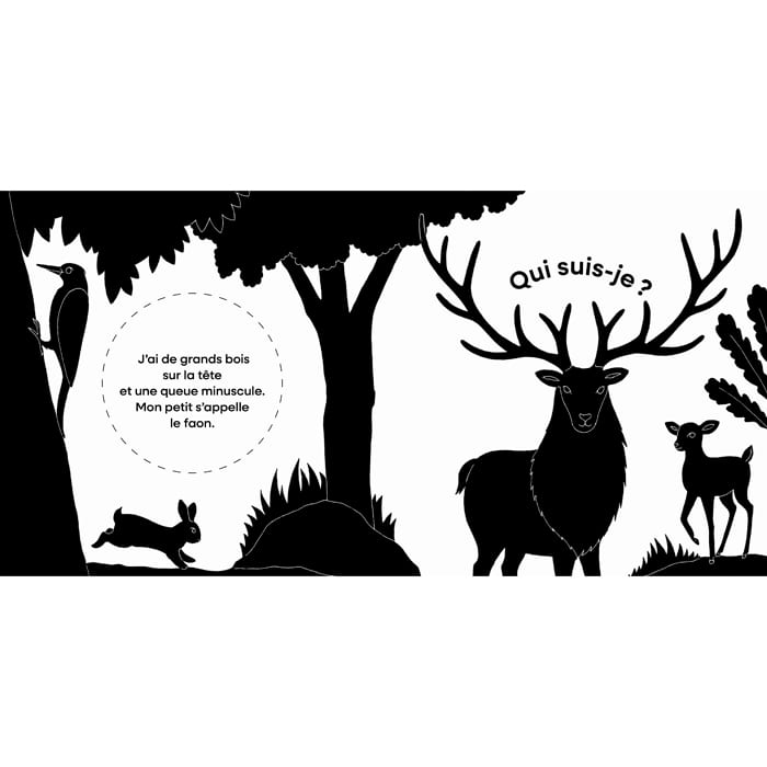 Qui vit dans la forêt ? Devinettes (Editions Tourbillon) - Image 2