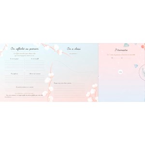 Mon album de grossesse